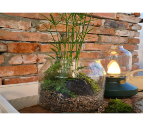 테라리움 만들기 체험