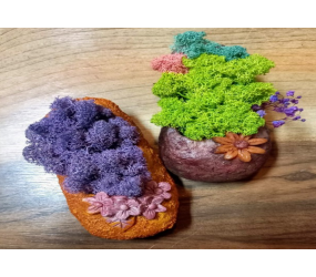 모스를 활용한 화분 만들기