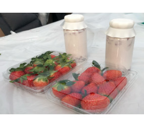 [현장체험] 딸기우유 만들기